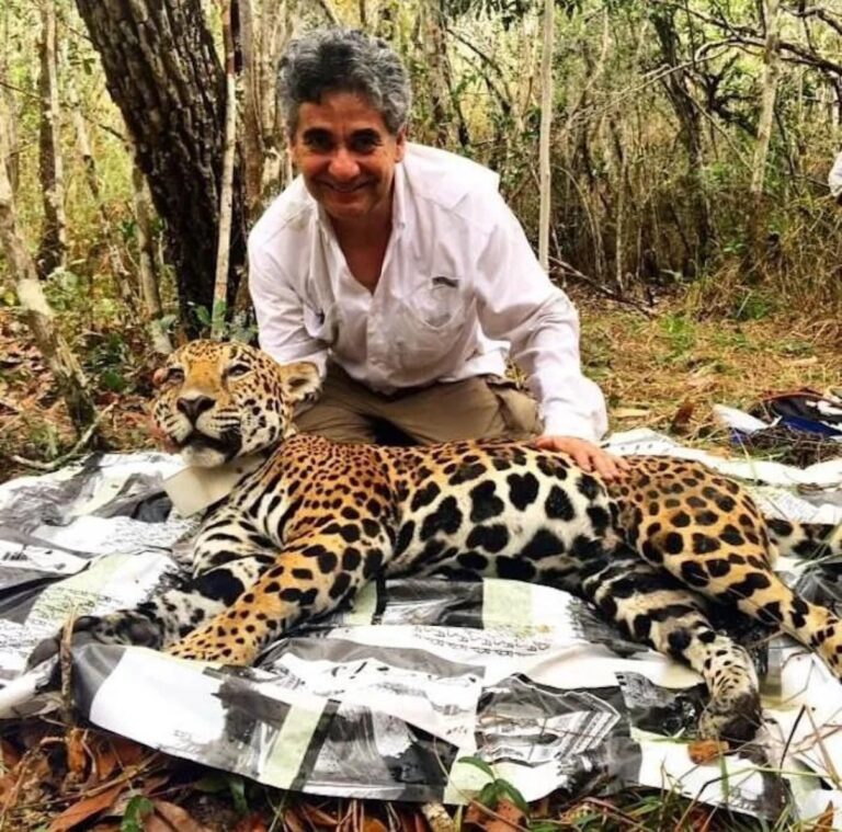 El jaguar mexicano: un símbolo de éxito en conservación del Dr. Gerardo Ceballos