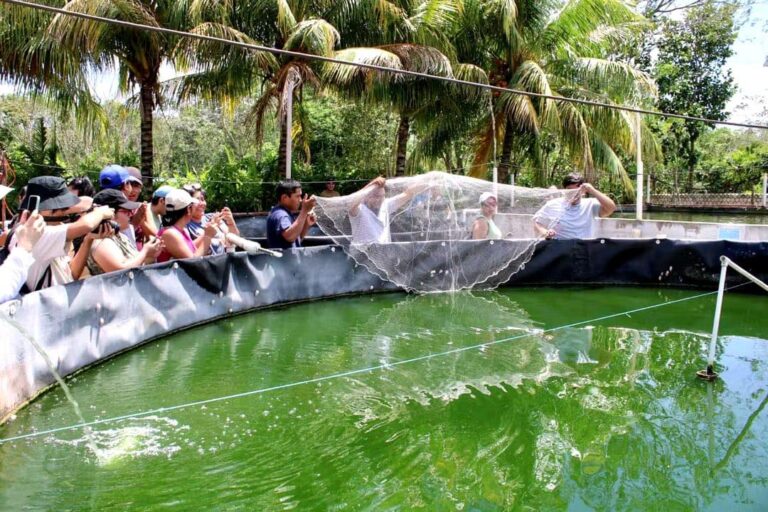 Acuacultura en Puerto Morelos avanza con productores de Leona Vicario