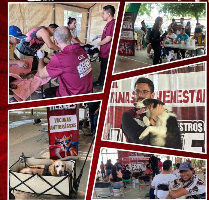 Caravanas de Bienestar Animal