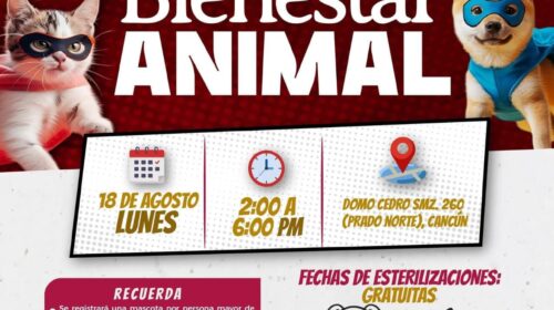 Caravanas del Bienestar Animal