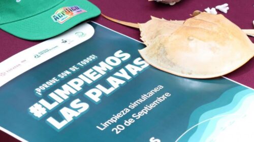 Convocan a limpieza simultánea de la costa yucateca