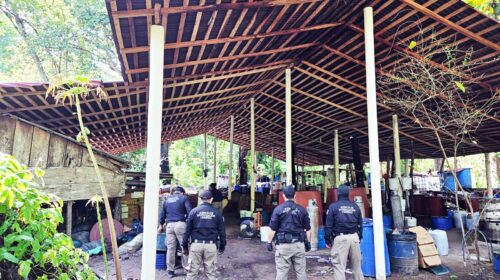 Decomisan 900 kilos de metanfetamina en Palenque, Chiapas