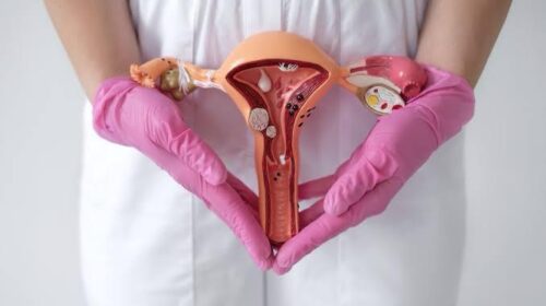 Detección de cáncer cervicouterino sin costo en Mérida