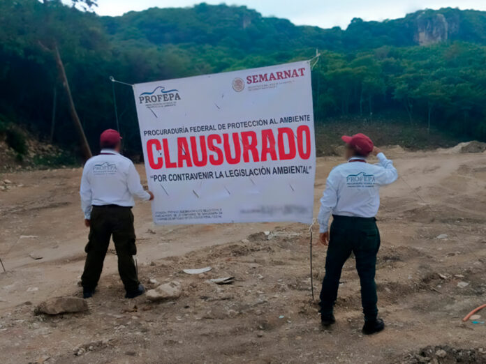 Devastan más de 4,200 m2 de selva baja en Tuxtla Gutiérrez