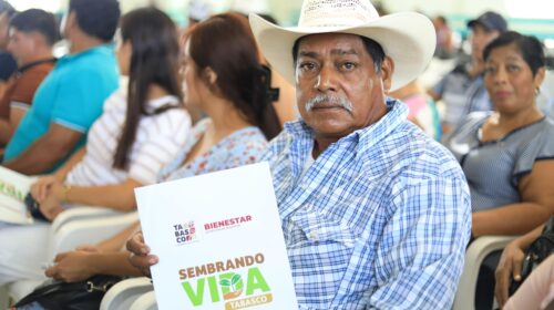 Javier May continúa entregando tarjetas del programa Sembrando Vida Tabasco