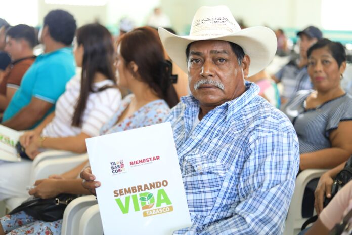 Javier May continúa entregando tarjetas del programa Sembrando Vida Tabasco