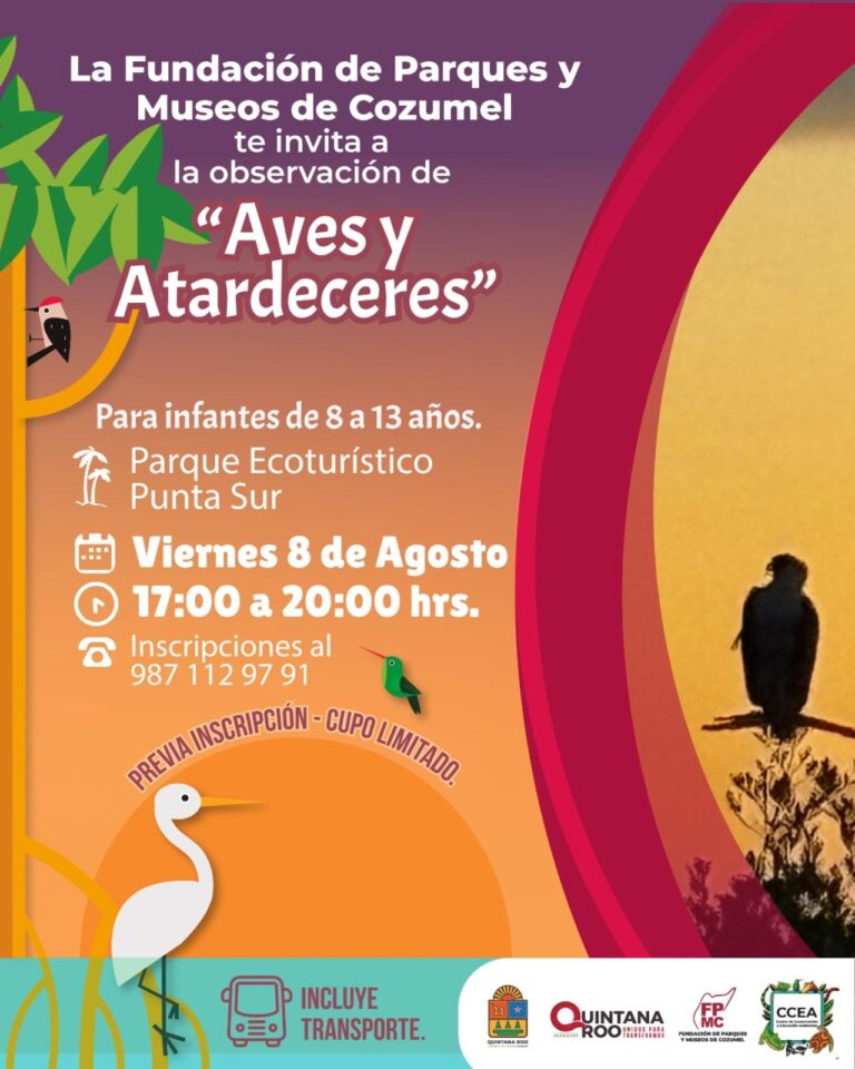 Niñez cozumeleña explorará la biodiversidad de Punta Sur con “Aves y Atardeceres”