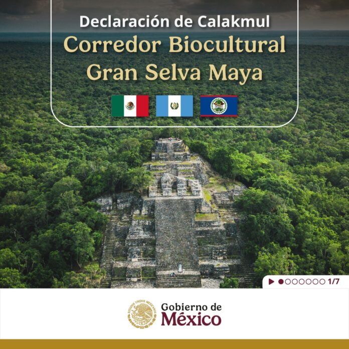 México, Guatemala y Belice crean el Corredor Biocultural Gran Selva Maya