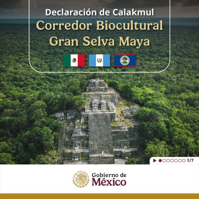 México, Guatemala y Belice crean el Corredor Biocultural Gran Selva Maya