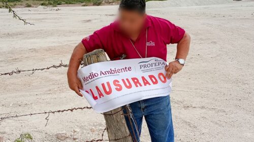 Profepa clausura predio en Tekax; debido a un cambio de uso de suelo sin autorización