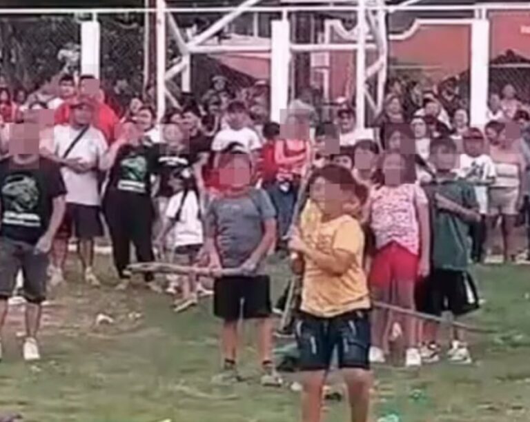 Profepa investiga posible caso de maltrato animal en Calkiní, Campeche