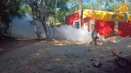 Segunda Jornada Nacional contra el Dengue