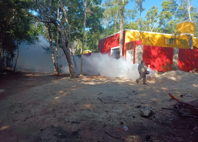 Puerto Morelos rumbo a la Segunda Jornada Nacional contra el Dengue
