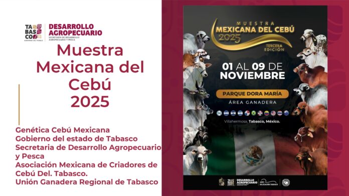 Tabasco alista la Muestra Mexicana del Ganado Cebú
