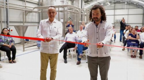 Yucatán convierte al sargazo en biofertilizantes
