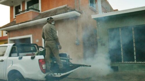 Yucatán logra una reducción del 43.6% en casos de dengue