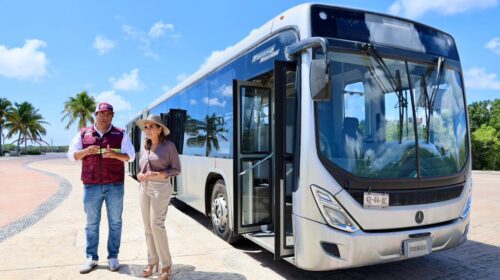 autobuses articulados