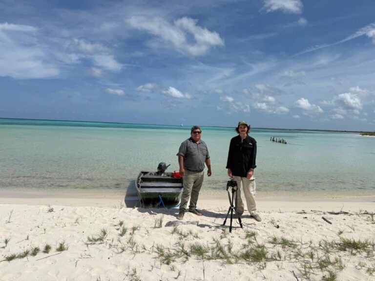 Documental internacional explora en Cozumel posible hallazgo de nuevas especies de cocodrilos