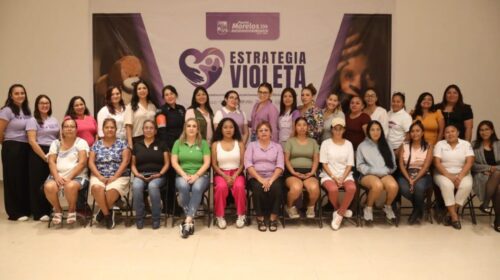 Estrategia Violeta
