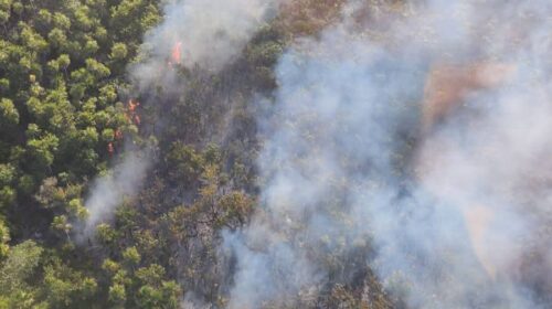 incendio en holbox