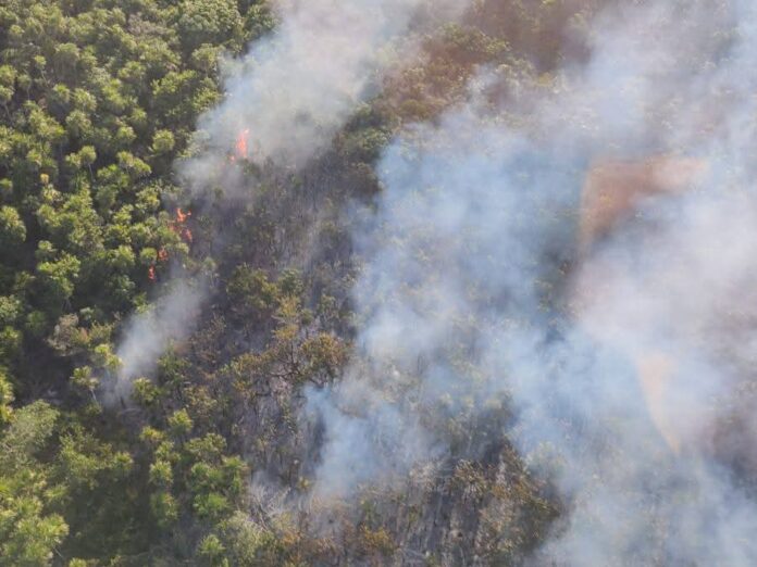 incendio en holbox
