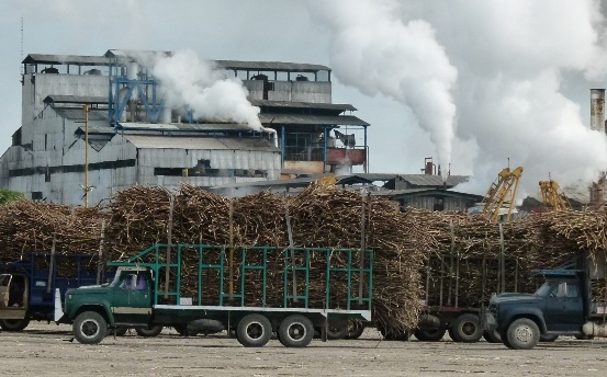 LOS CAPITALES: Inminente crisis en el sector azucarero