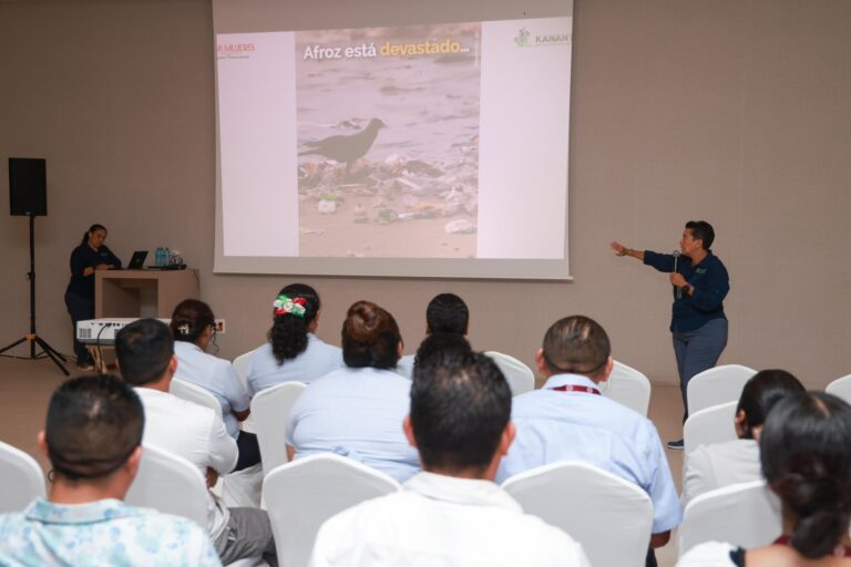 Isla Mujeres fortalece la red de protección de la tortuga marina