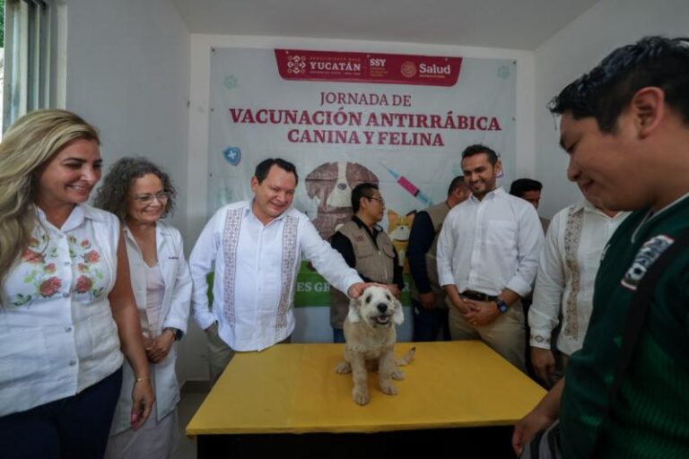 Arranca la Semana Nacional de Vacunación Antirrábica 2025 en Yucatán