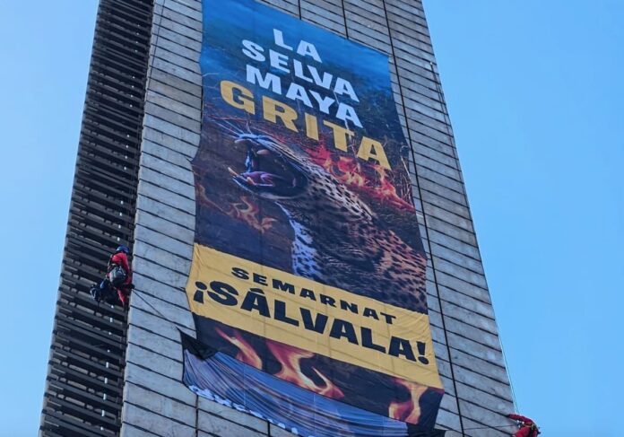 Activistas de Greenpeace escalan la Estela de Luz; exigen proteger a la Selva Maya