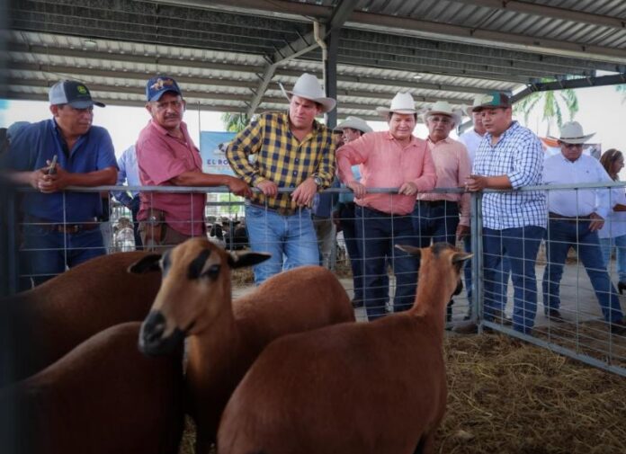 Díaz Mena impulsa la modernización del campo yucateco
