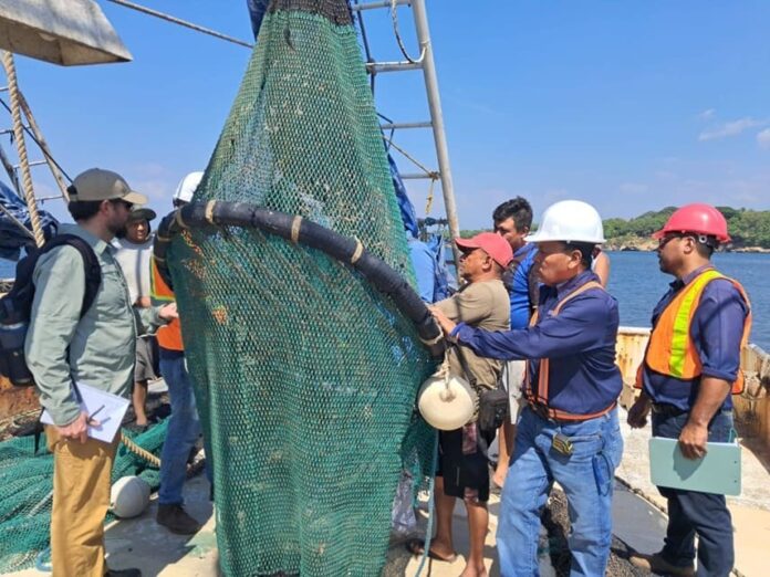 Profepa verifica dispositivos excluidores de tortugas marinas en Campeche