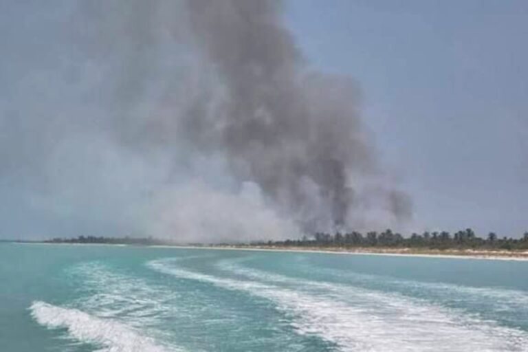 Incendio forestal en Holbox: evidencia satelital descarta predios de PMD como punto de origen