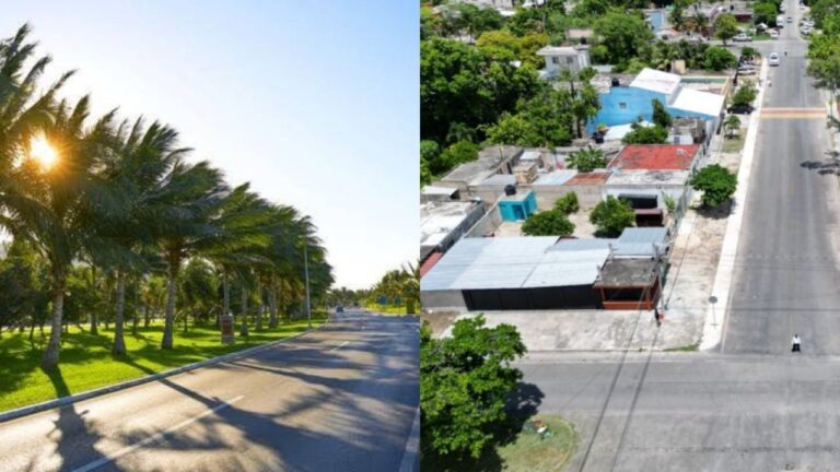Encuesta digital revela que la población en Quintana Roo no es afín al ambientalismo en redes