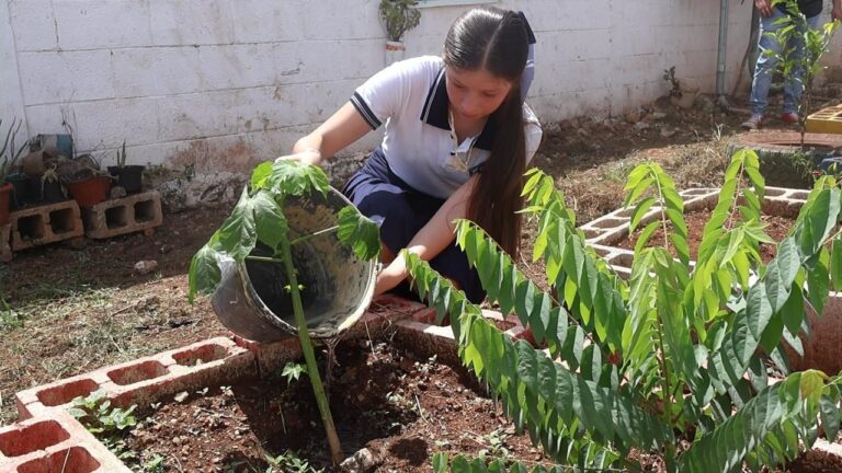 Ponen en marcha programa Escuela Sustentable en Oxkutzcab