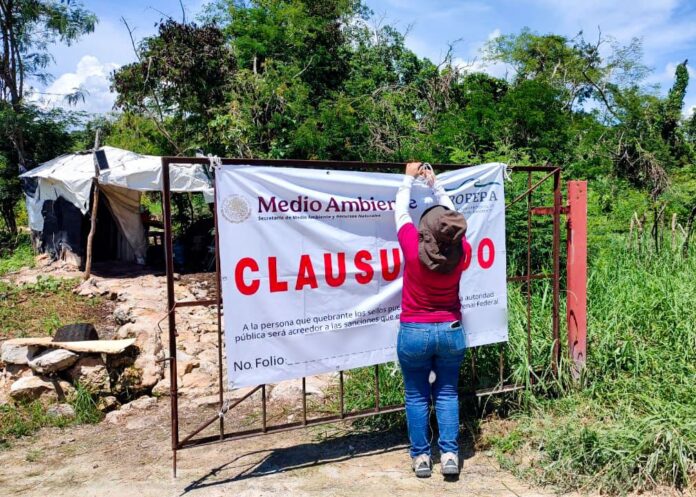 Profepa clausura definitivamente a la granja porcícola 'Pecuaria Peninsular'