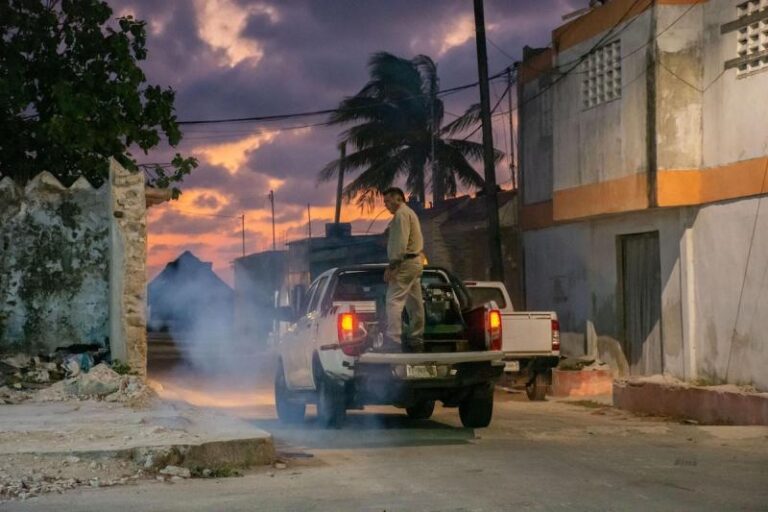 Refuerza medidas contra el mosquito de la ciénaga en Yucatán