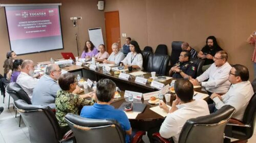 Yucatán levanta la veda sanitaria por marea roja