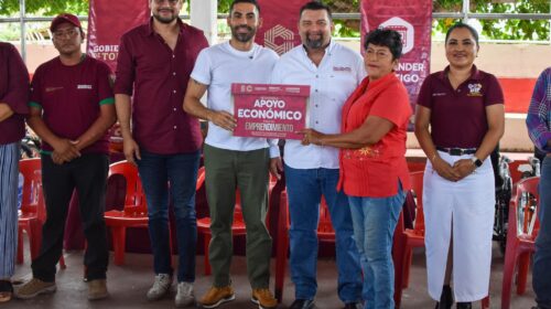 apoyos sociales y productivos