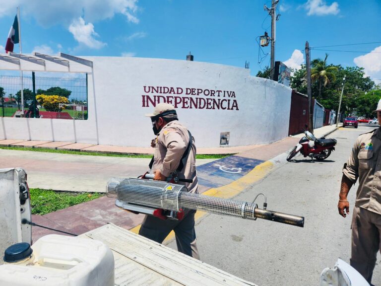 Cozumel intensifica fumigación y control larvario para frenar al mosquito transmisor