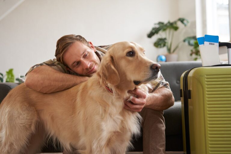 El Presidente InterContinental Puebla se sitúa como una opción pet friendly para los viajeros con mascota