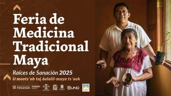 Alistan la Feria de Medicina Tradicional Maya en Valladolid Alistan la Feria de Medicina Tradicional Maya en Valladolid