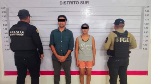 Caen dos por operar crematorio ilegal de mascotas en Quintana Roo