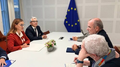 Cecilia Patrón presenta proyectos meridanos ante el Parlamento Europeo