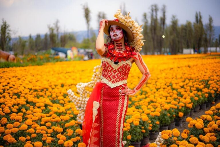 Cempasúchil: la flor que ilumina el camino de los muertos