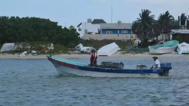 Decretan cuatro nuevas zonas de refugio pesquero en México; dos están en Yucatán