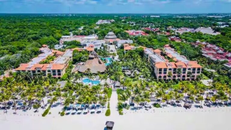 Fauna en zonas urbanas: cuando la convivencia se convierte en riesgo