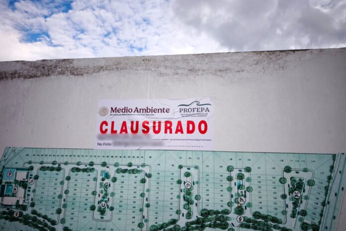 Profepa clausura proyecto inmobiliario en Mérida por daño ambiental