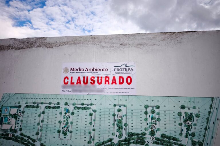Profepa clausura proyecto inmobiliario en Mérida por daño ambiental