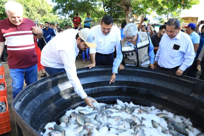 Tabasco comercializa la primera cosecha de 'Pescando Vida' Tabasco comercializa la primera cosecha de 'Pescando Vida'
