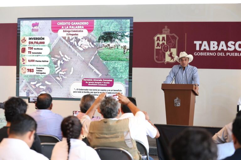 Tabasco invierte más de 215.1 mdp en el programa “Crédito Ganadero a la Palabra“
